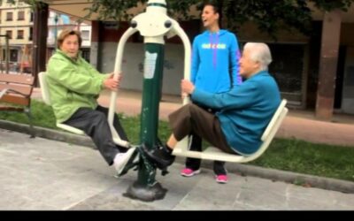 Envejecer de forma activa y saludable en la comunidad: experiencia de coordinación sociosanitaria en el municipio de Lasarte-Oria en torno a la promoción de la salud y prevención de la dependencia