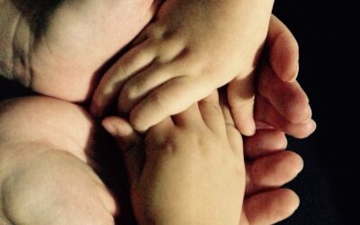 El Lenguaje del Cuidado