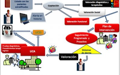 Proceso Integrado de Atención a Pacientes Crónicos Pluripatológicos Complejos (Castilla y León)