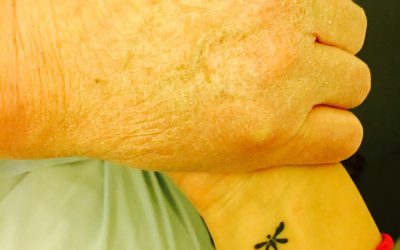 Si volviera atrás lo volvería a hacer