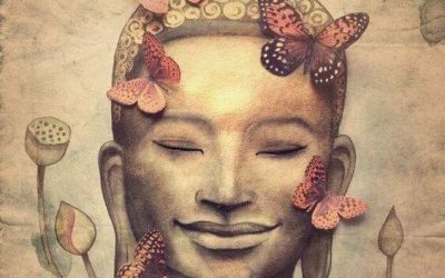 Toca aprender cada día