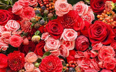 El mostrador más florido