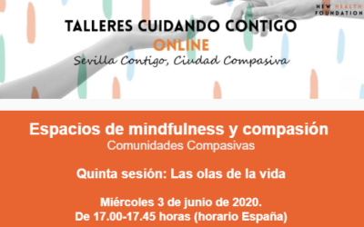 SESIÓN ONLINE: «LAS OLAS DE LA VIDA» (ESPACIOS MINDFULNESS Y COMPASIÓN)